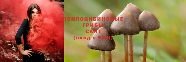 прущая мука Армянск