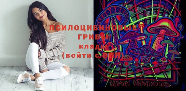 меф Арсеньев